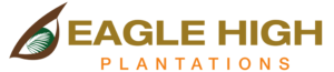 PT EAGLE HEAD PLANTATION