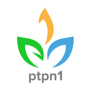 PTPN I