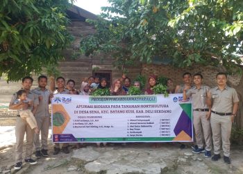 Aplikasi Bioasaka pada Tanaman Hortikultura di Desa Sena Deli Serdang