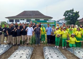 Kolaborasi ITSI dengan Darma Wanita Persatuan LLDIKTI Wilayah 1 Sumut dalam Implementasi Tri Dharma Perguruan Tinggi